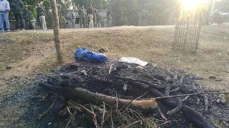 Árbol sagrado, India