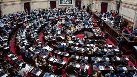Diputados en la sesión que aprobó la ley de alcohol cero al volante. Foto: NA.