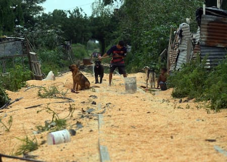 Robo al tren Belgrano Cargas que traslaba maíz en Santa Fe