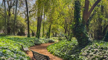 Ola de calor en CABA: dónde están y cómo funcionan los refugios climáticos gratuitos para protegerse de las altas temperaturas