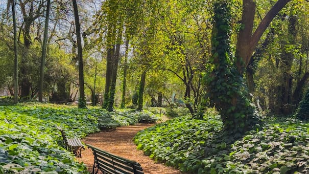 Ola de calor en CABA: dónde están y cómo funcionan los refugios climáticos gratuitos para protegerse de las altas temperaturas