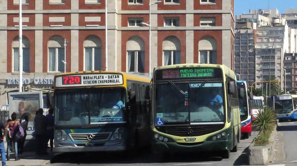 Colectivos en Mar del Plata, transporte público