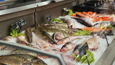 Existe un pez que puede albergar más de 70 tipos de parásitos