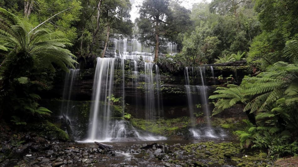 Tasmania. Foto: EFE
