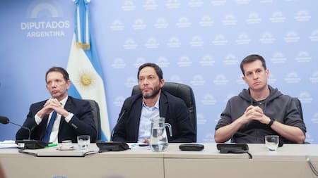 Diputados convocaron a una conferencia de prensa por la causa $LIBRA
