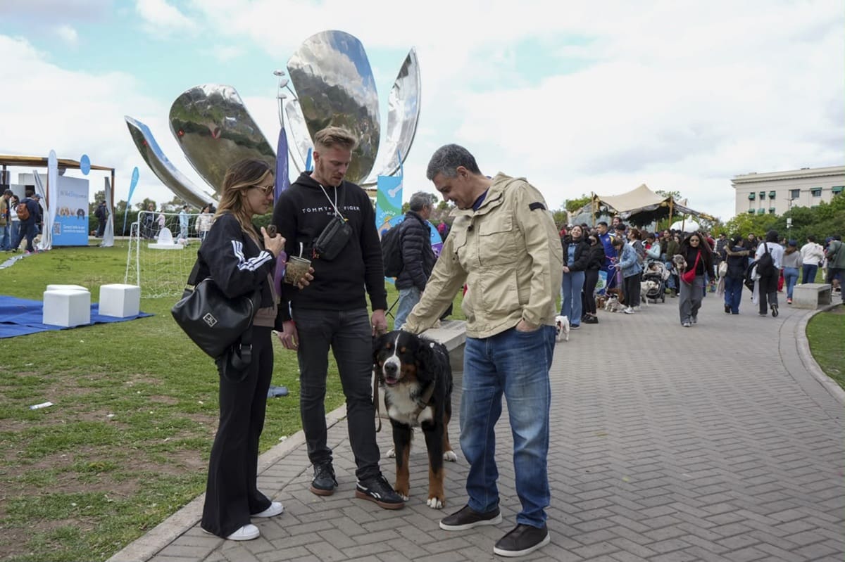 Los perros y los gatos tendrán identificación digital y podrán viajar en colectivos.