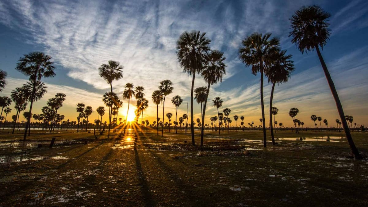 Un lugar de ensueño que guarda el humedal más hermoso. Foto Instagram Diario La Mañana Formosa.