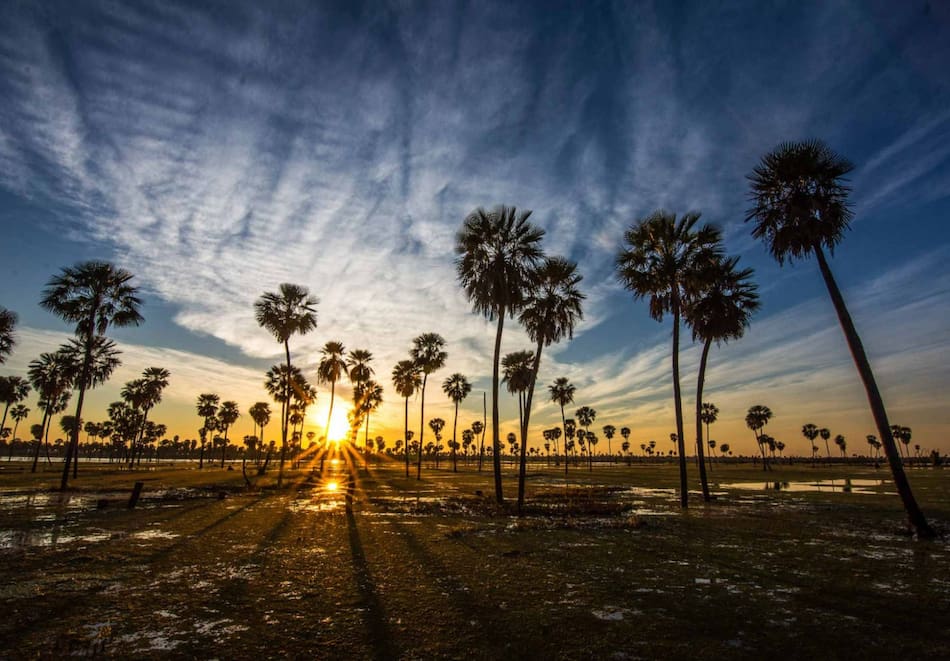 Bañado La Estrella, Formosa. Foto larutanatural.gob.ar