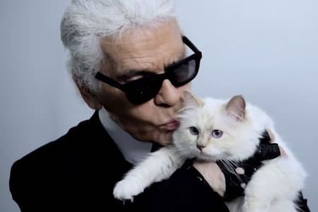 Choupette, la gatita de Karl Lagerfeld. Fuente: X