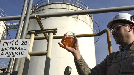 Biodiesel argentino