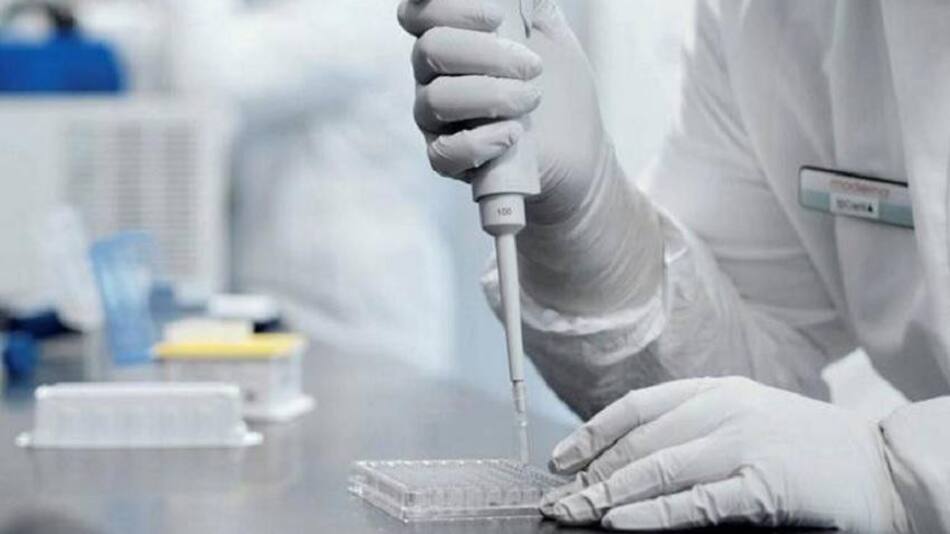 Ciencia, REUTERS
