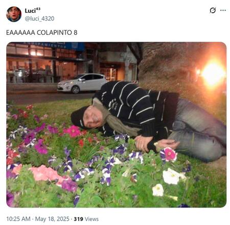 Los mejores memes de Franco Colapinto. Fotos: X.