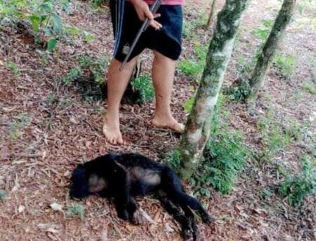 La foto que publicó en sus redes. Foto: misionesonline