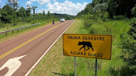 Cartel de señalización de fauna silvestre en Misiones. Foto: Red Yaguareté.