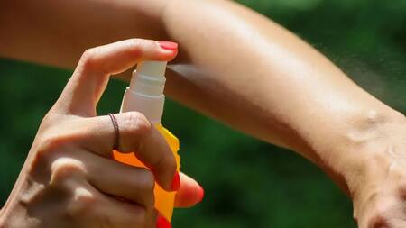 Repelente. Foto: NA.