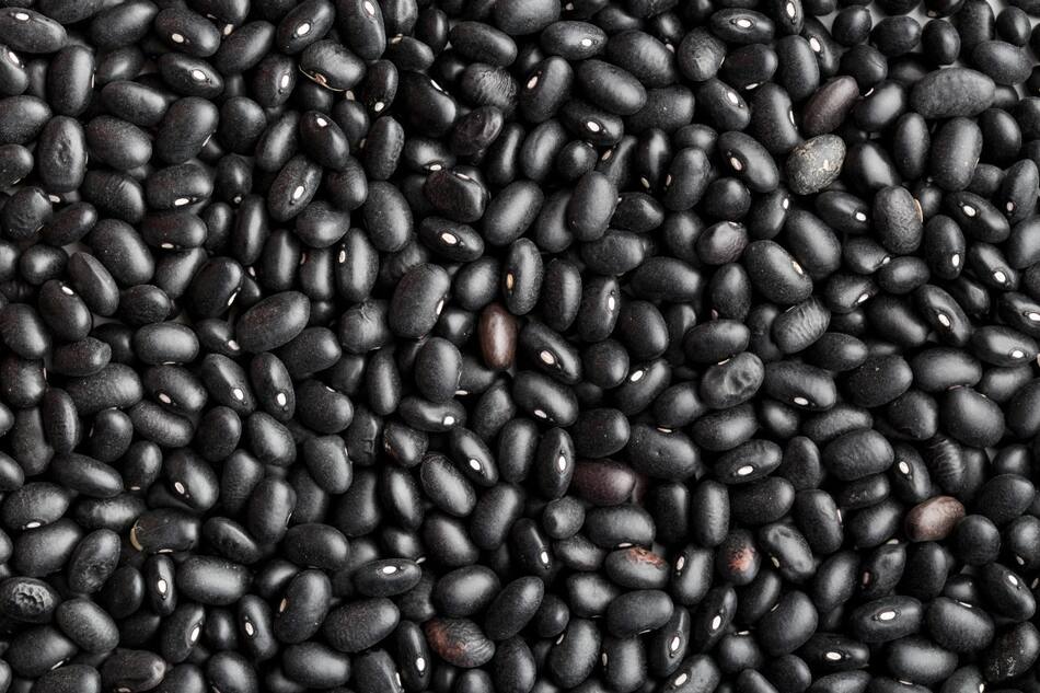 Porotos en negro: la Aduana denunció exportaciones subfacturadas en un 50% y podría aplicar multas de USD 28 millones. Foto: Aduana.
