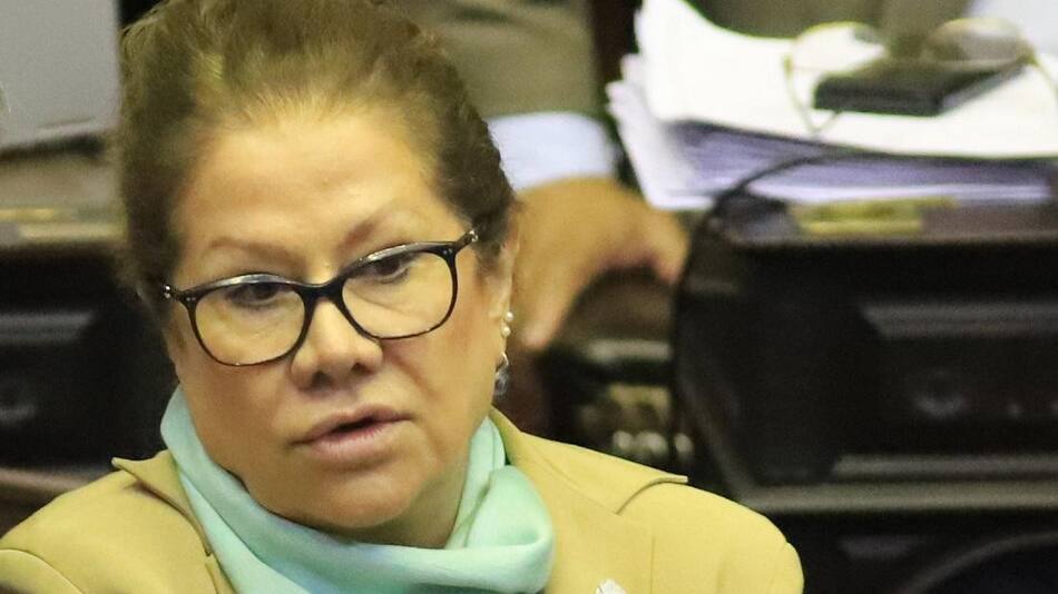 Graciela Camaño, Congreso, política, Foto: NA
