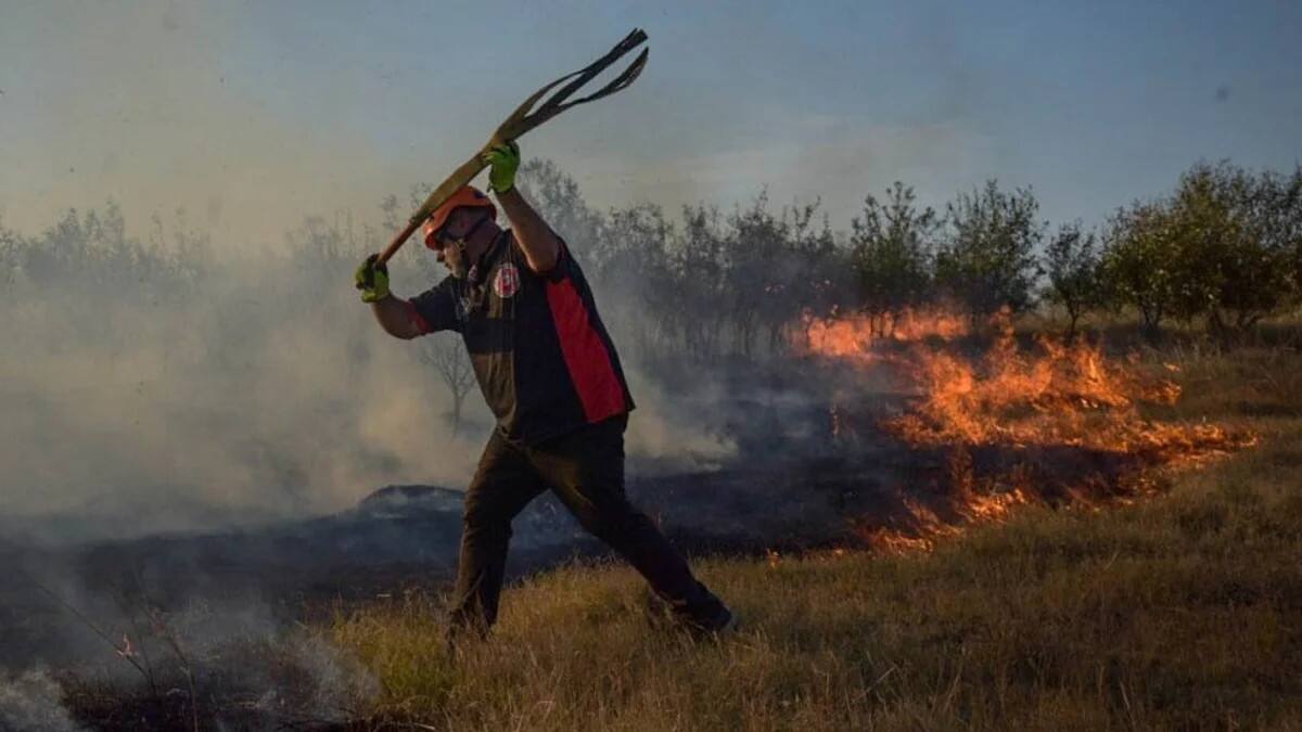 Incendio en Córdoba: Fuente: NA