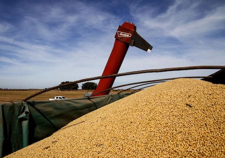 Cosecha de soja en Argentina. Foto: NA.
