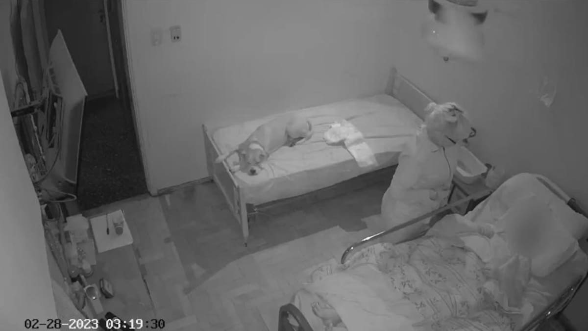 Indignante robo: una cuidadora se hizo con las joyas de una anciana sedada en una cama