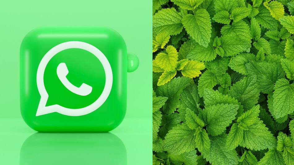 "Modo Menta" en WhatsApp. Foto: Unsplash