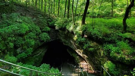 Mammoth Cave, el Parque Nacional en el que se dio el increíble hallazgo. Foto: National Park Service