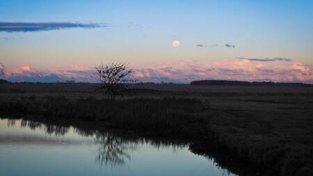 Punta Indio. Fuente: puntaindioweb.com