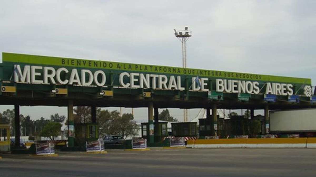 Mercado Central de Buenos Aires: dónde queda, horarios y cómo llegar en auto o en colectivo