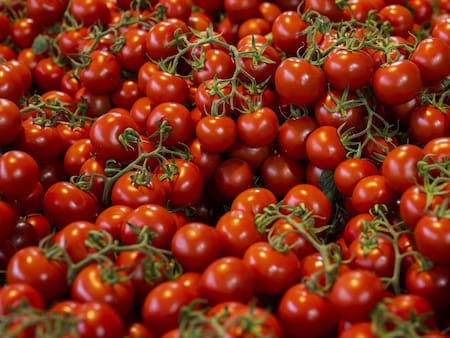 Tomates. Foto: Pixabay