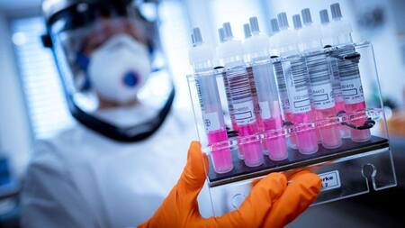 Coronavirus, vacuna, avances de investigación en Reino Unido