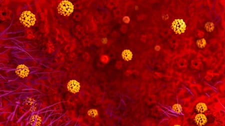 Coronavirus en el mundo. Foto: EFE.