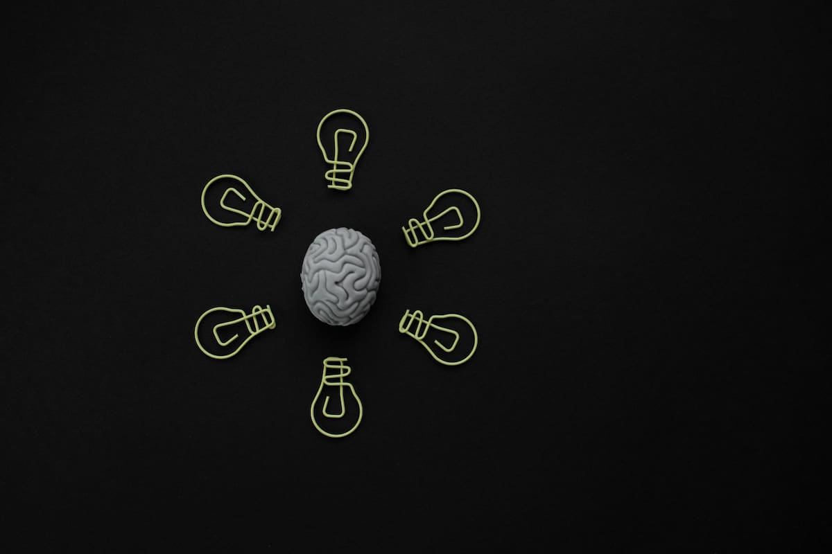 Cerebro. Fuente: Unsplash