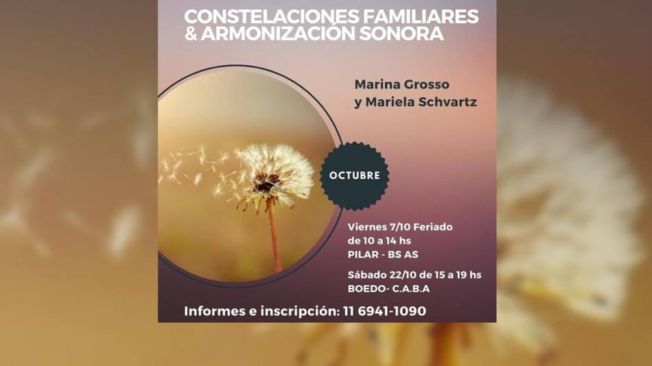 Taller de Constelaciones Familiares y Armonización