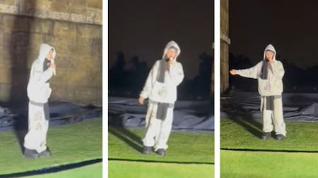 Tini debió suspender su show