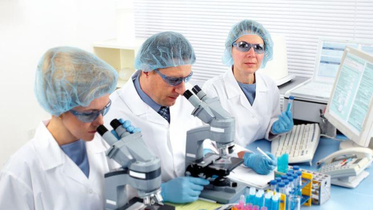 Ciencia, estudio