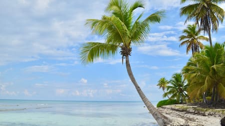 El país más pequeño de América tiene dimensiones realmente sorprendentes: ¿de cuál se trata?