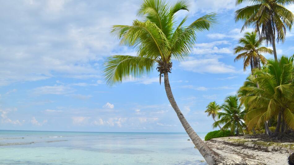¿Cuál es el país más diminuto del Caribe? Foto: Unsplash.