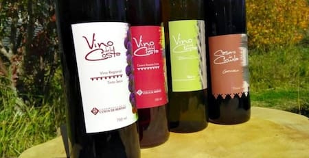 Viñedo Vino de la Costa. Fuente: Municipio de Berisso