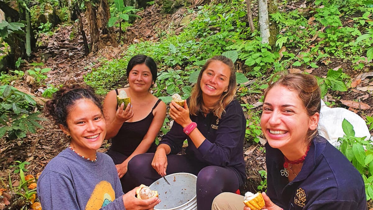 Buscan voluntarios para participar en proyectos ambientales en Argentina, Chile y Perú: incluyen hospedaje y beneficios varios