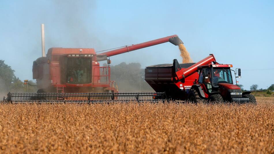 Cosecha de trigo. Foto: Reuters