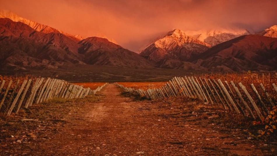 Los Chacayes, Mendoza. Foto: X