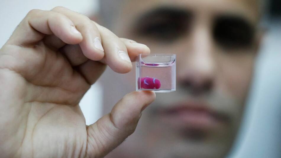 Científicos israelíes presentan corazón impreso en 3D a partir de tejidos humanos, Reuters