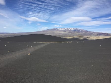 Reserva Natural La Payunia. Foto: Twitter