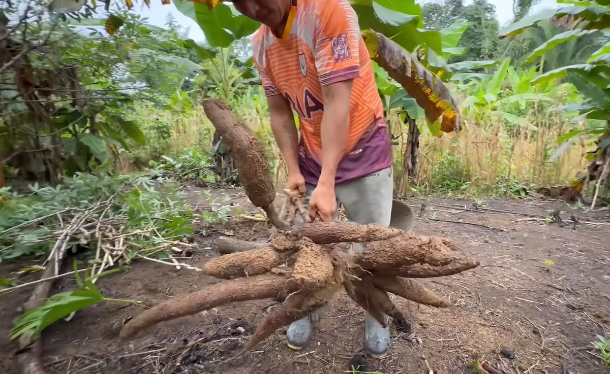 Rosa y Sixto en una zona aislada de la Amazonía ecuatoriana.
