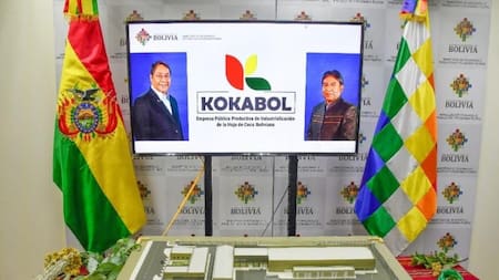 Bolivia anunció la producción de una crema dental elaborada con hojas de coca