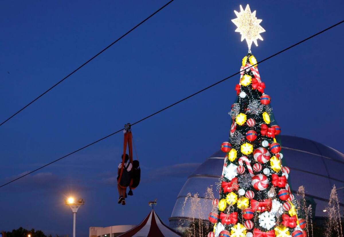 Navidad - festejos