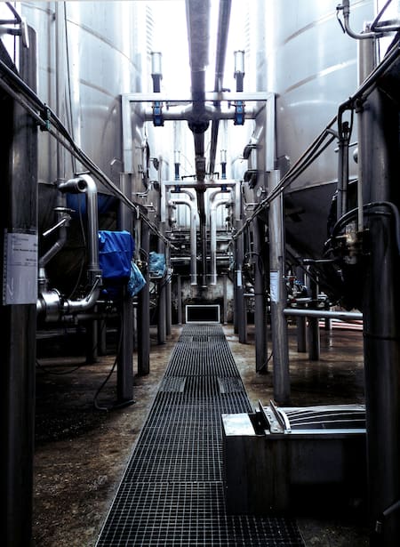 Producción de leche; fábrica; empresa. Foto: Unsplash.