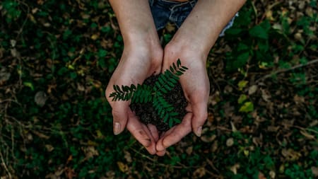 Cómo contribuir a un planeta sustentable. Foto Unsplash.