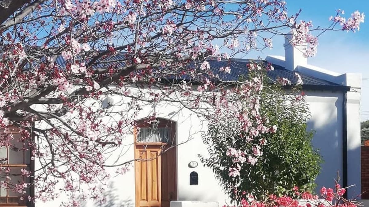 El árbol de frutas que es ideal para jardines de ciudad porque es fácil de cuidar y no destroza las veredas