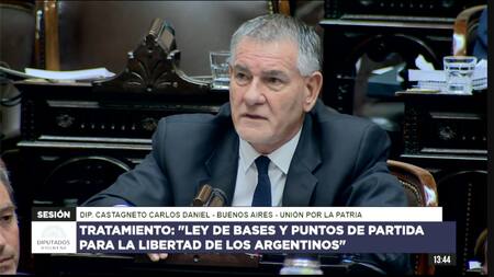 Carlos Castagneto en el debate de la Ley Ómnibus. Foto: Captura de video.